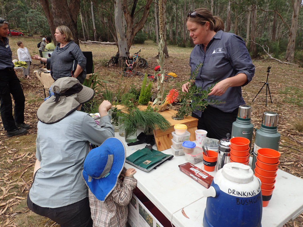 australian-bushcare_03_credits_city-of-hobart-bushcare